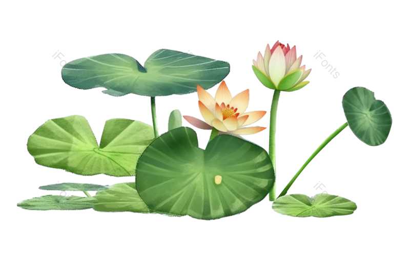 装饰图片,纹理元素,元素PNG,卡通免抠素材